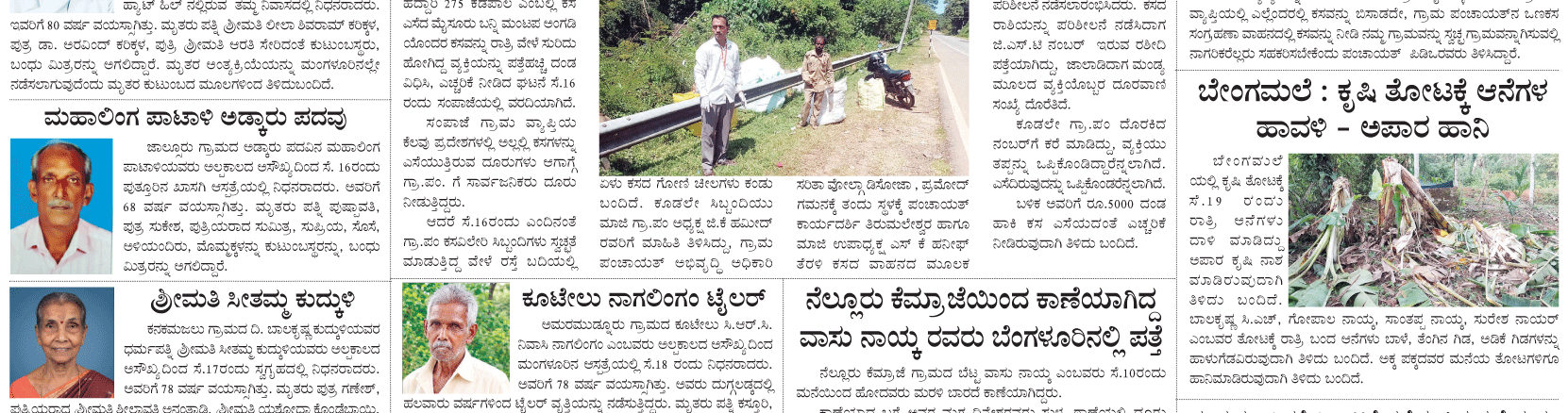 ePaper