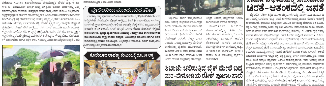ePaper
