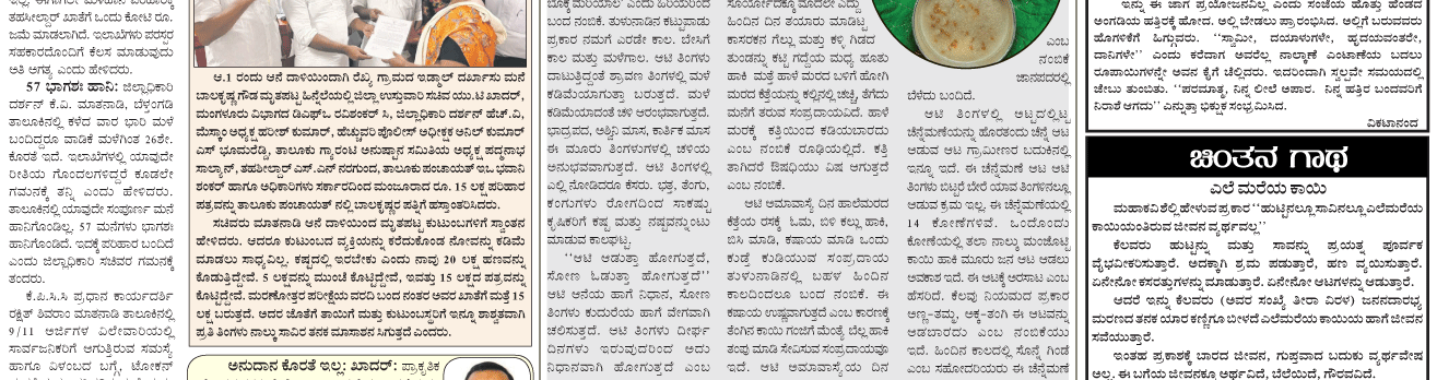 ePaper