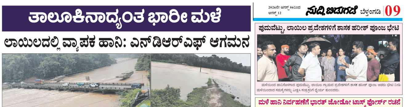 ePaper