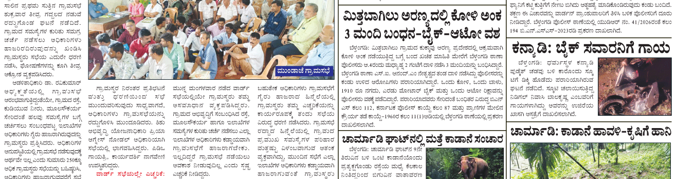 ePaper