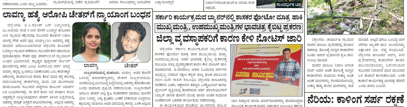 ePaper