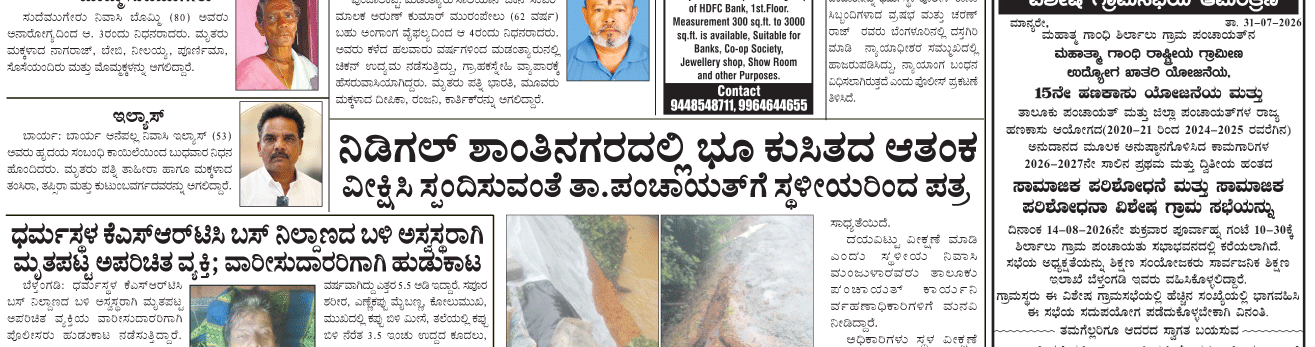 ePaper
