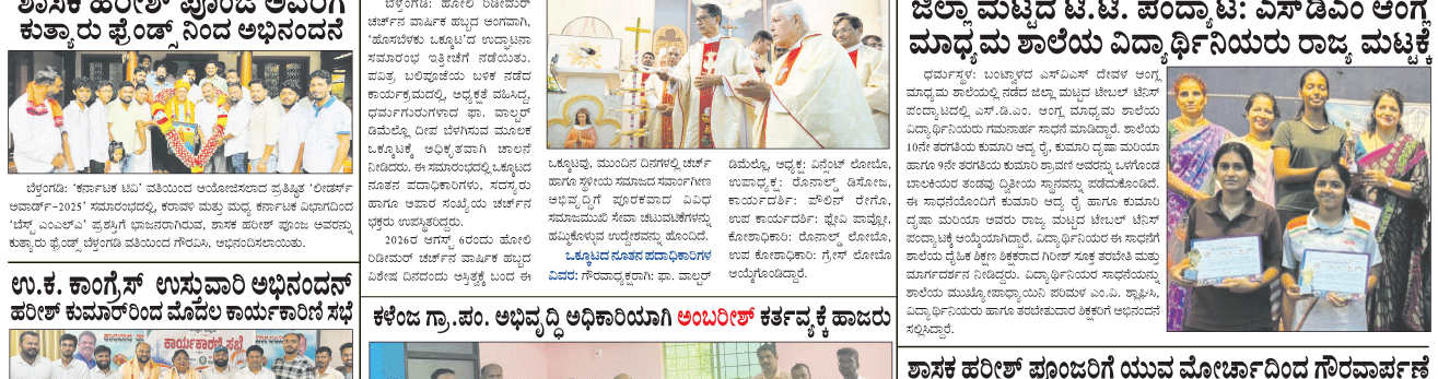 ePaper