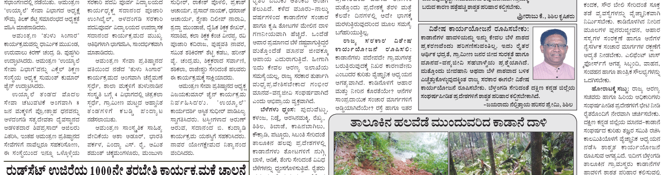 ePaper