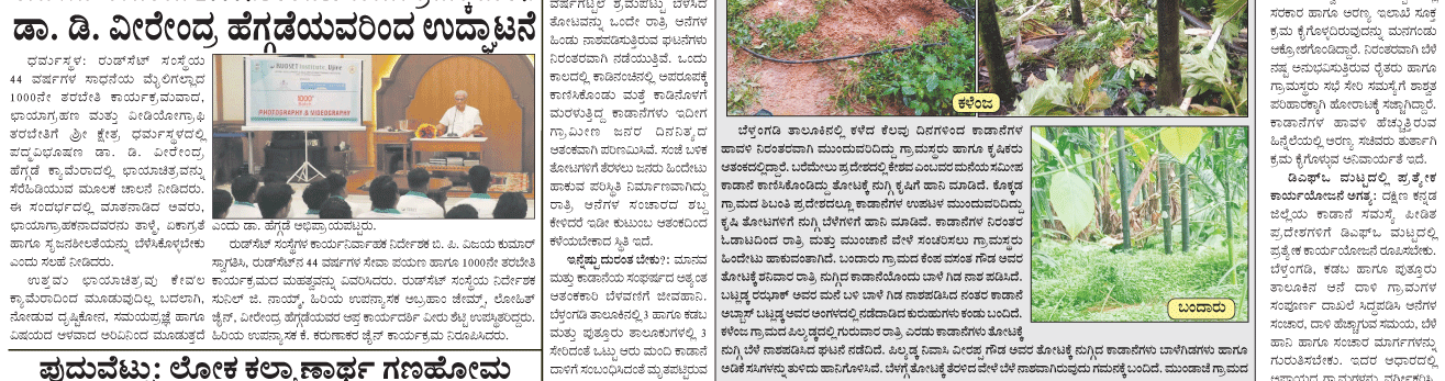 ePaper