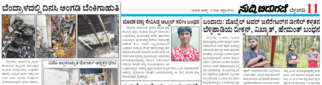 ePaper