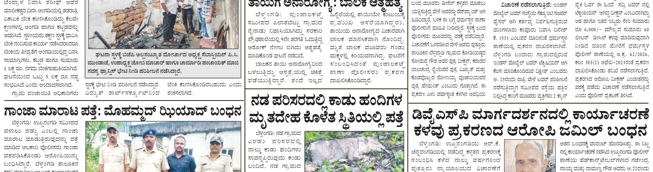 ePaper