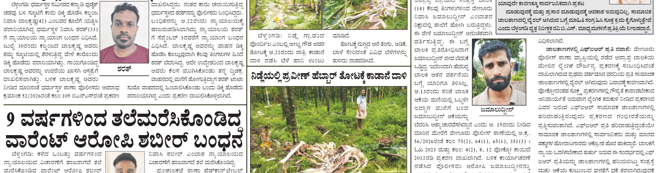 ePaper
