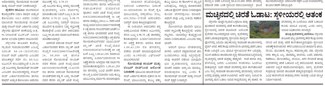 ePaper