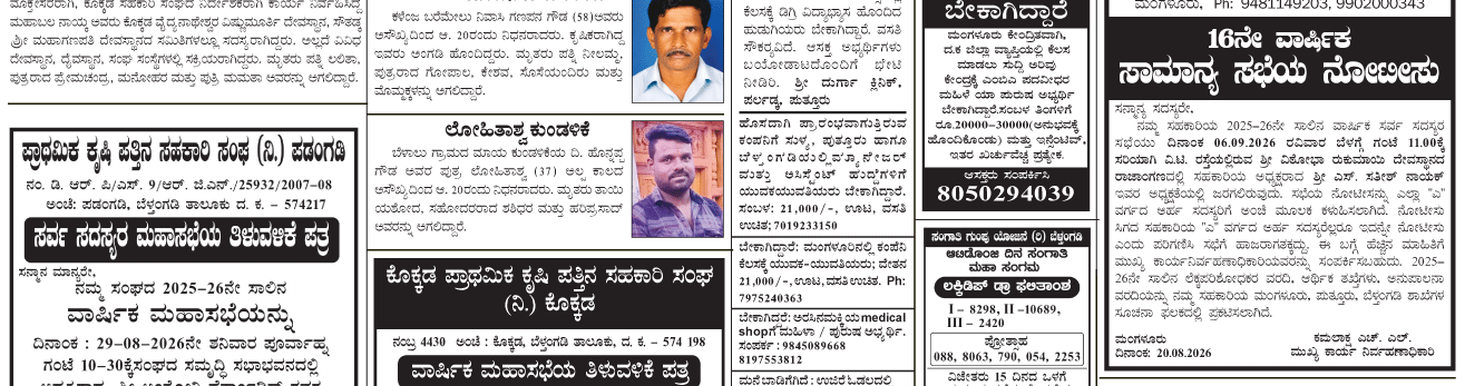 ePaper