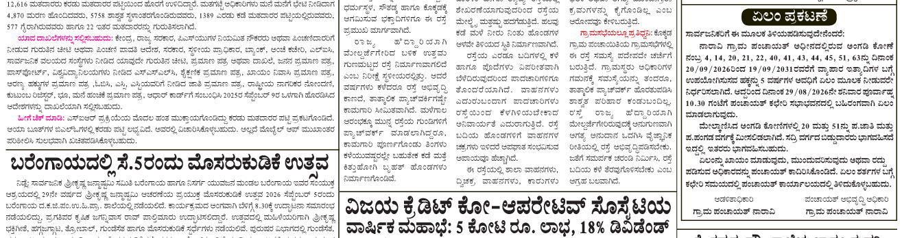 ePaper