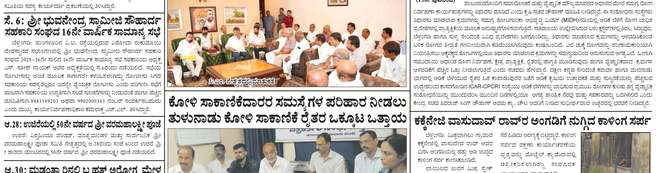 ePaper