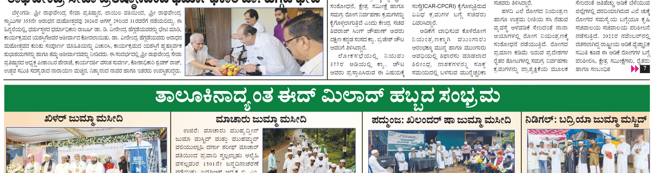 ePaper