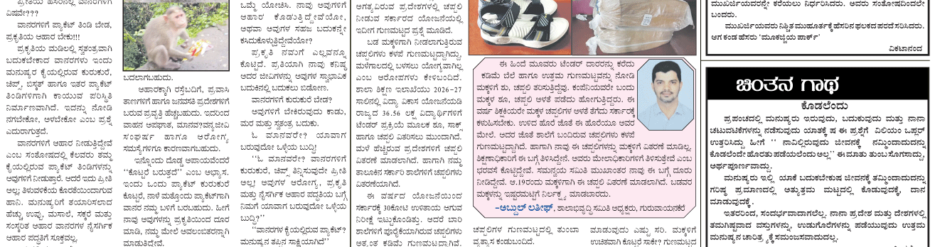 ePaper