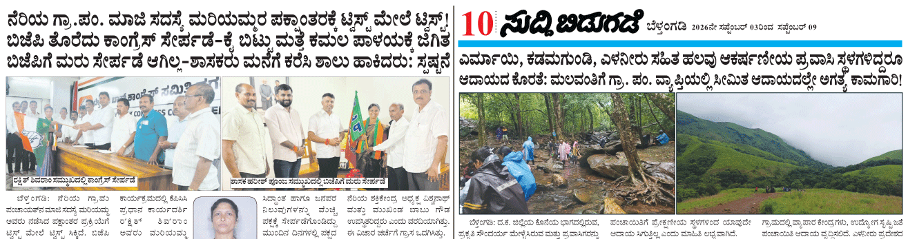 ePaper