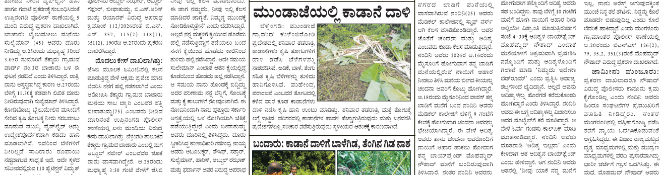 ePaper