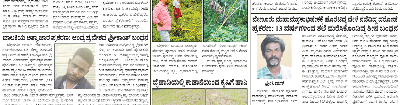 ePaper