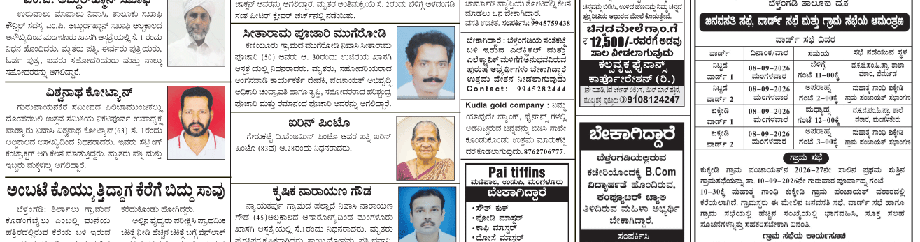 ePaper