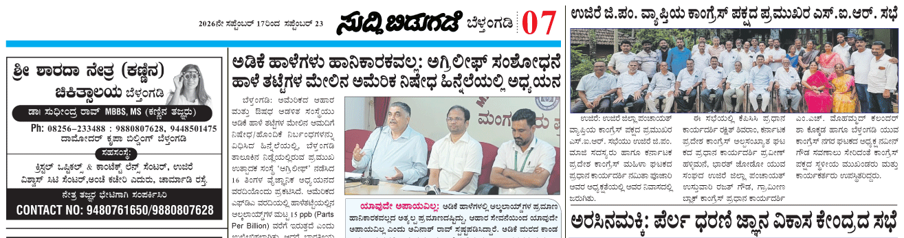 ePaper