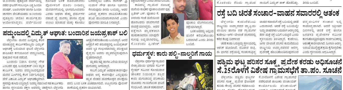 ePaper