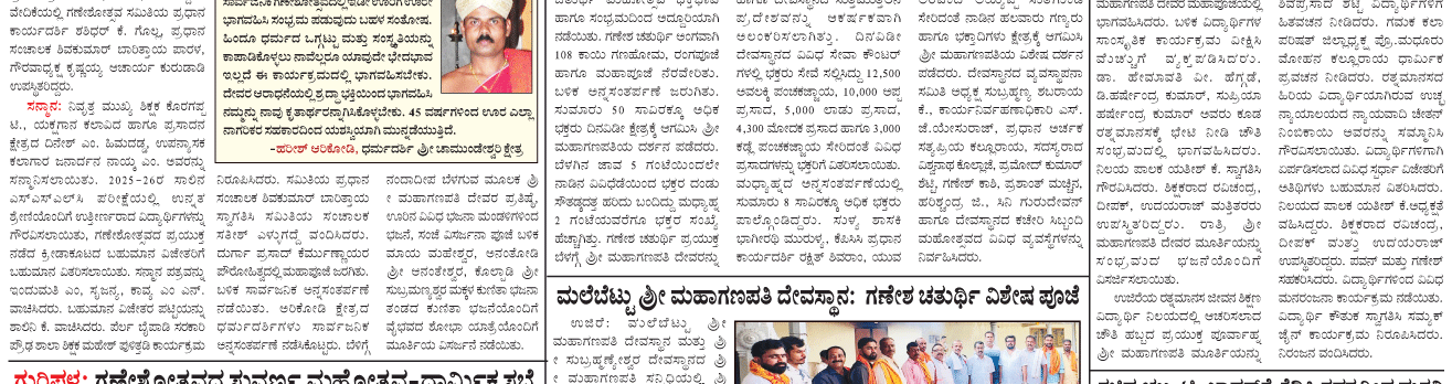 ePaper
