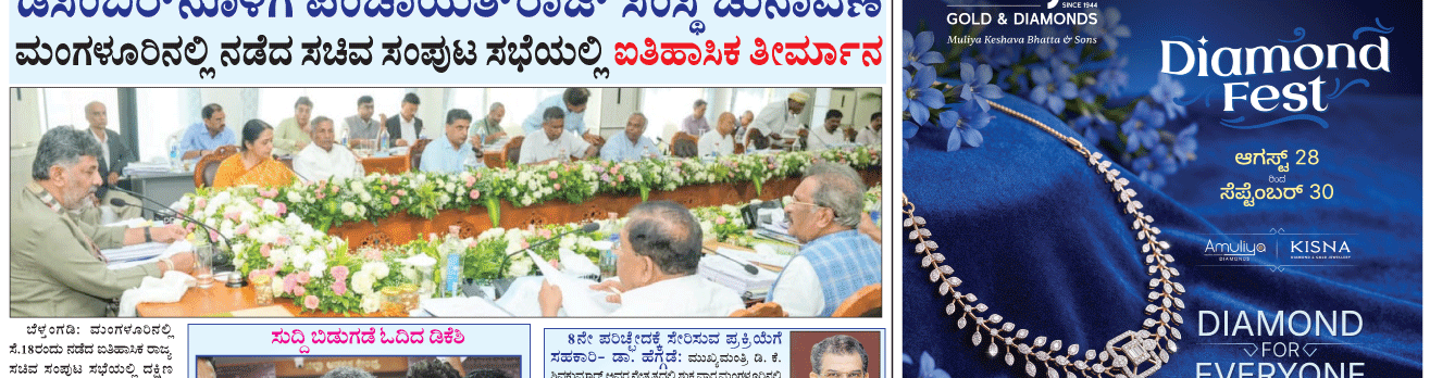 ePaper