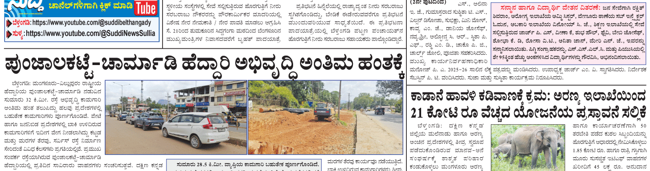 ePaper