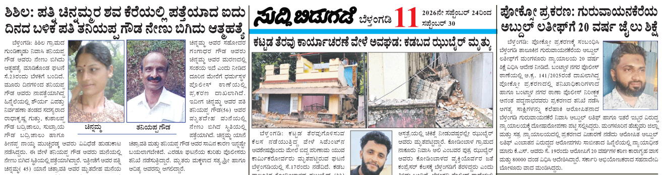 ePaper