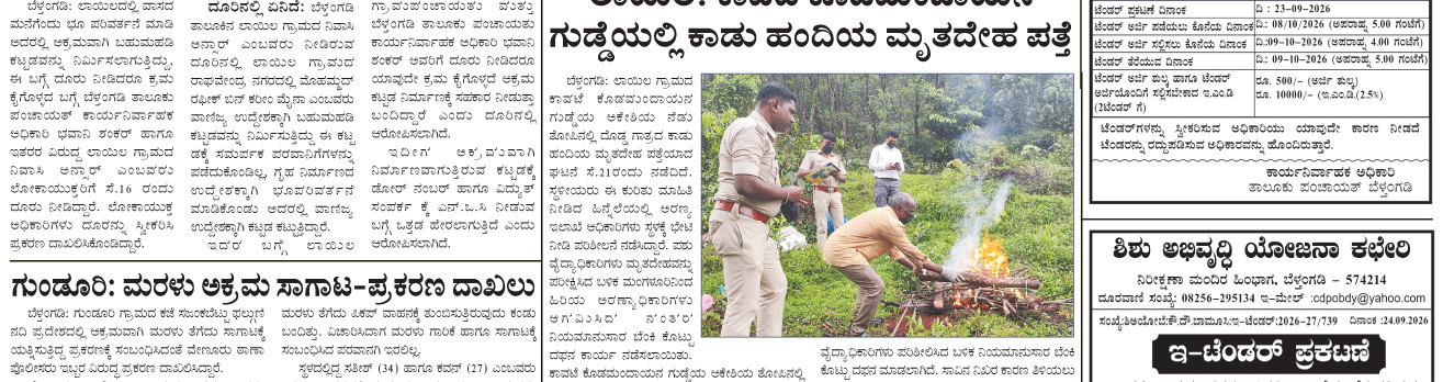ePaper