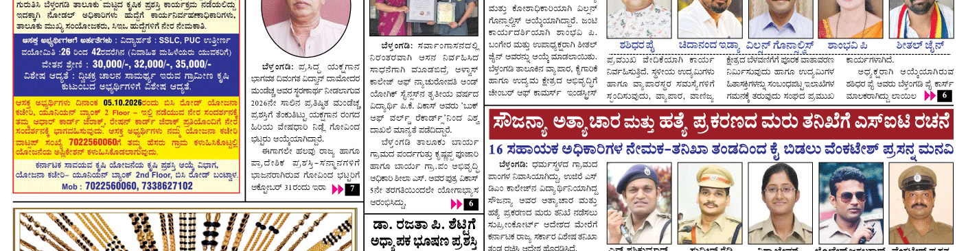 ePaper