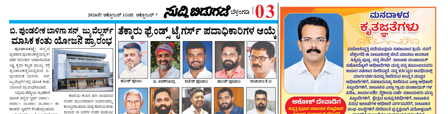 ePaper