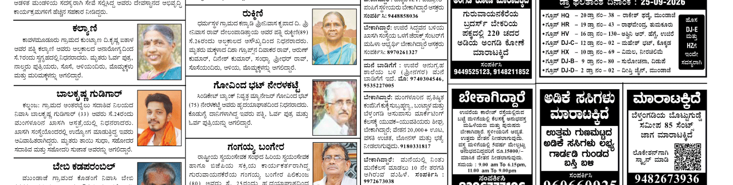 ePaper