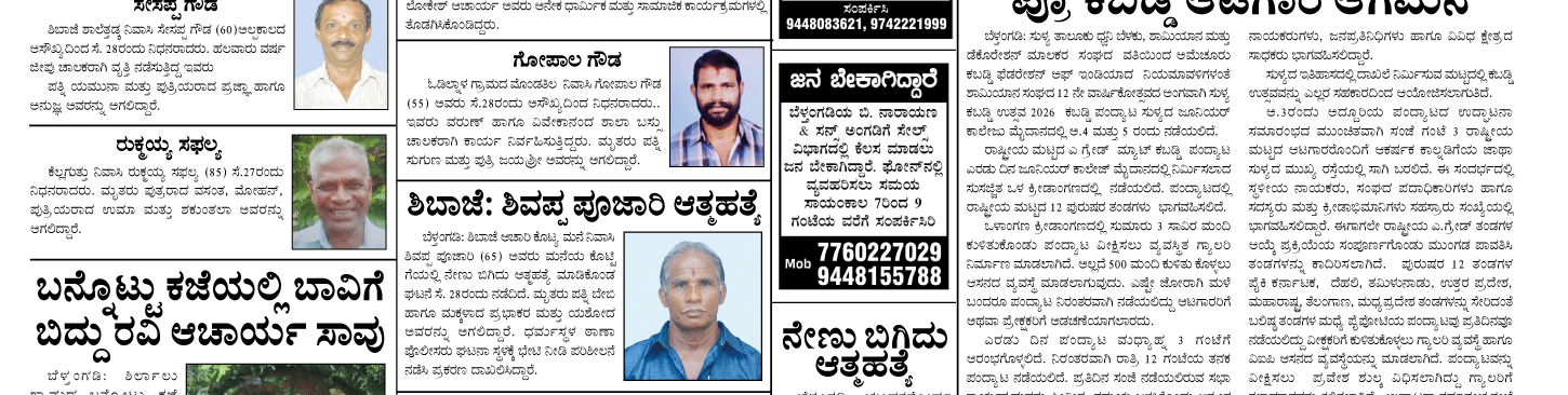 ePaper