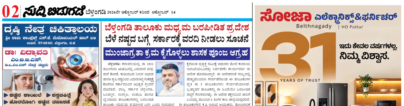 ePaper
