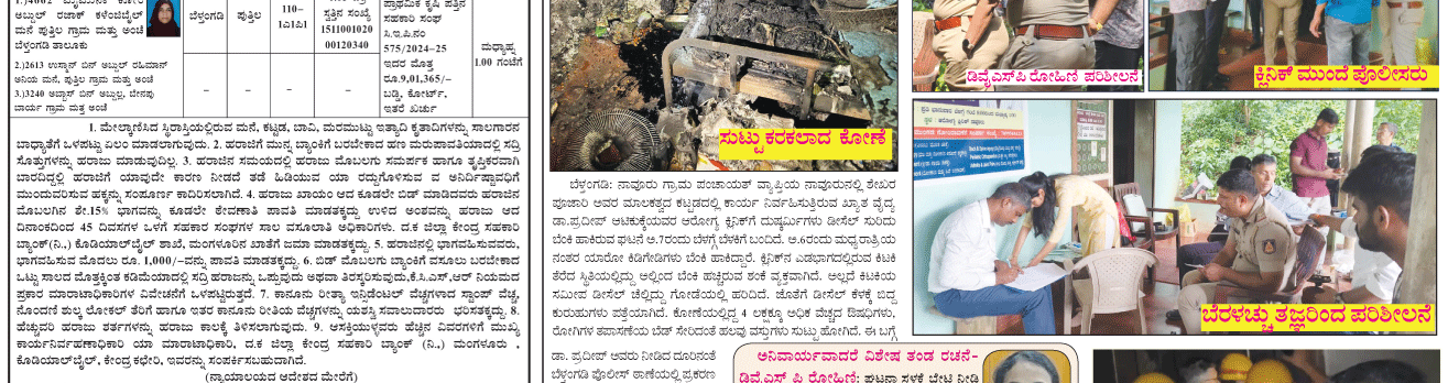 ePaper