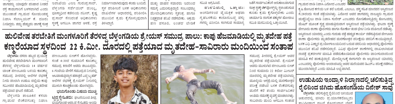 ePaper