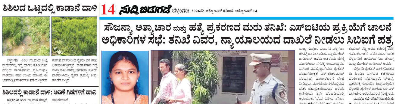 ePaper