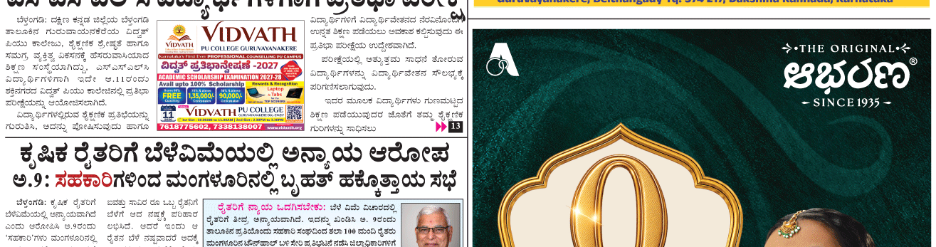 ePaper