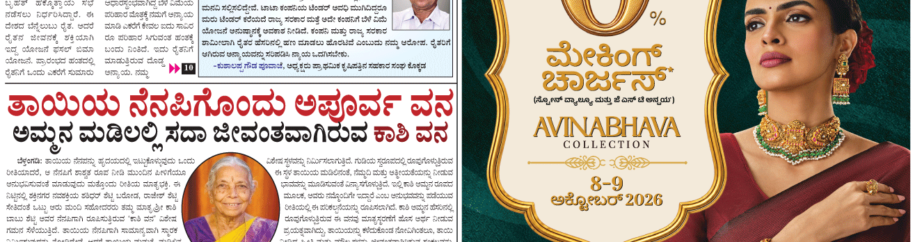 ePaper