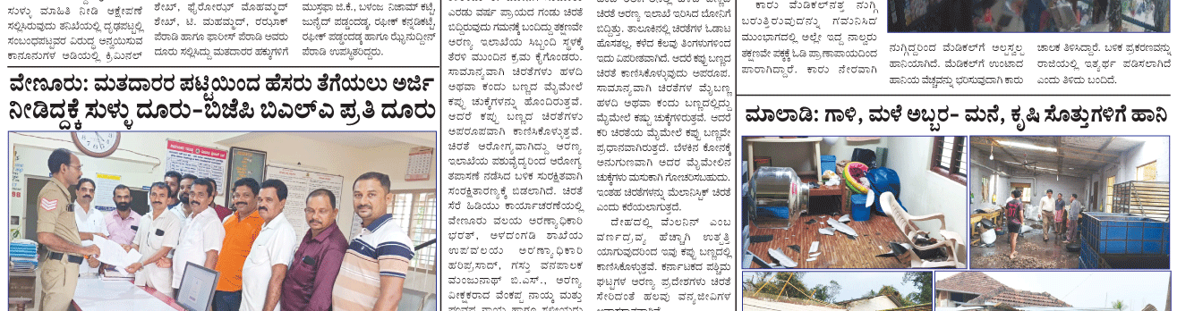 ePaper
