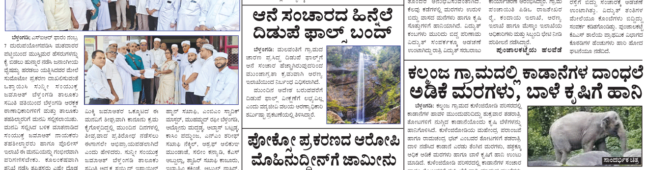 ePaper