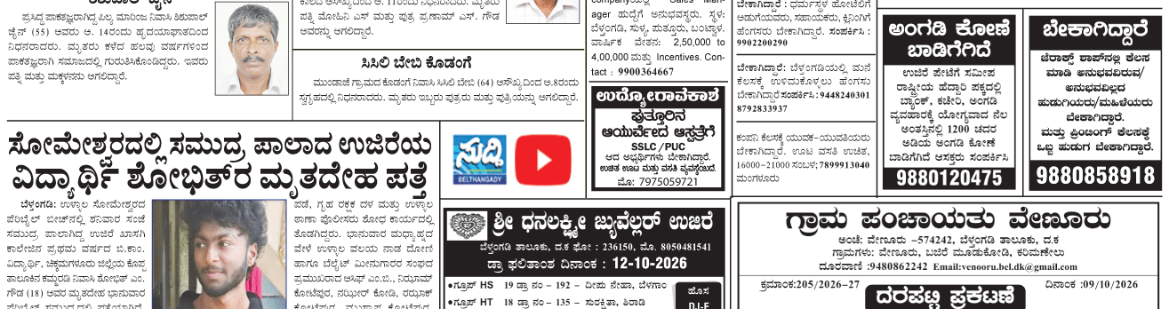 ePaper