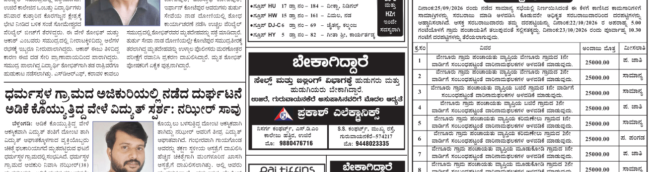ePaper
