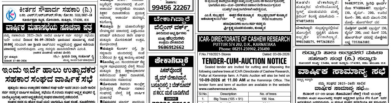 ePaper