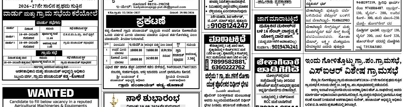 ePaper