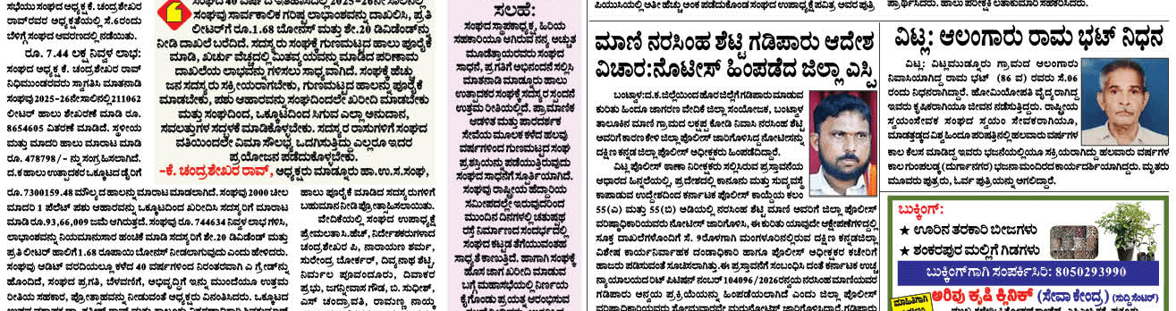 ePaper
