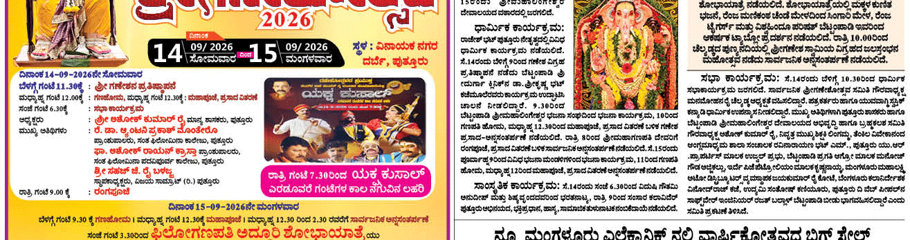 ePaper