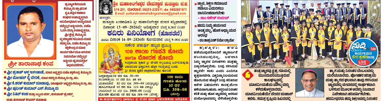ePaper