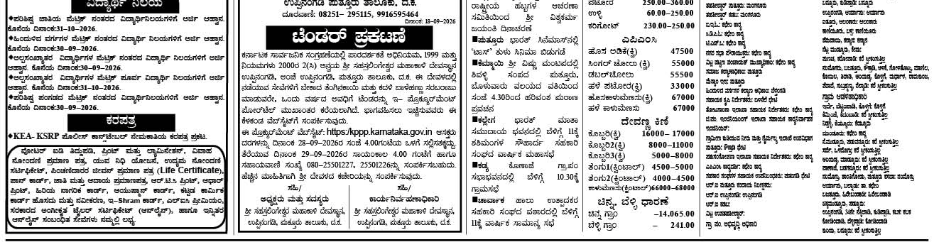 ePaper